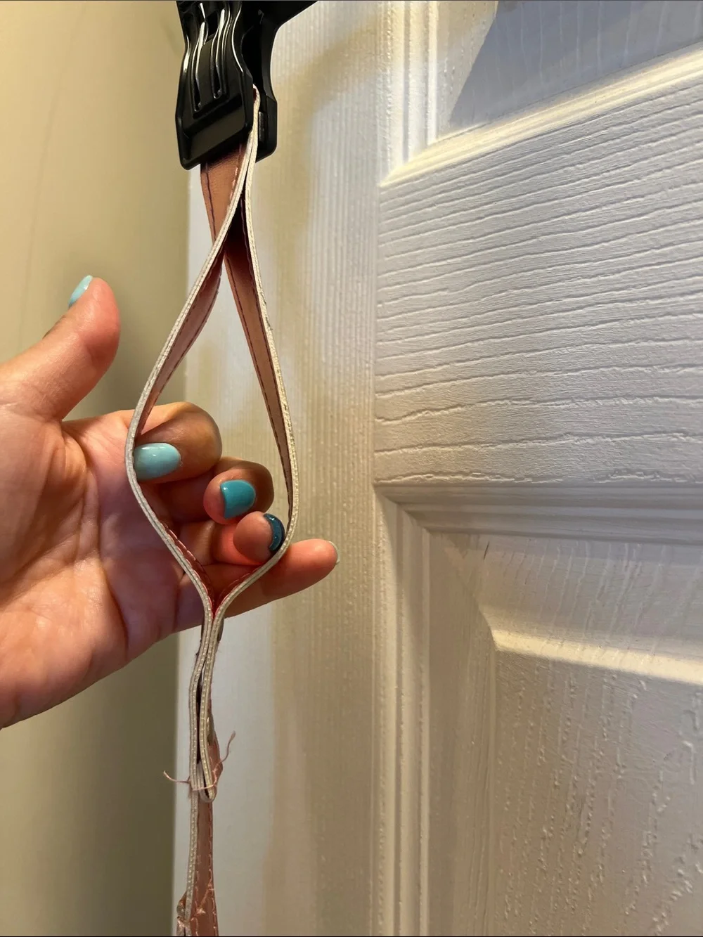 Dog Leashes that can be Personalized